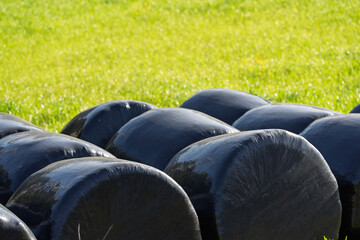 Obraz premium Black Wrapped Hay Bales in Bright Green Field