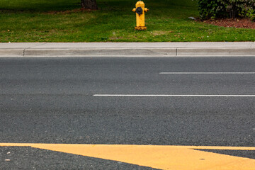 A bright yellow fire hydrant stands on a grassy strip beside a paved road marked with a bold directional arrow © Chandra