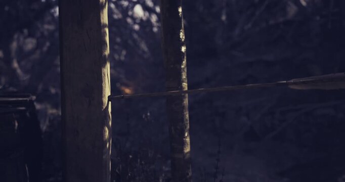 An arrow is firmly embedded in a tree trunk, showcasing the skill of archery in a wooded area. The light filters through the trees, creating a serene atmosphere for practice.