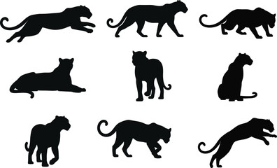 A collection of leopard silhouettes  © Daniel