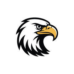 Fototapeta premium A bold and fierce eagle head design in black and white with a golden beak.