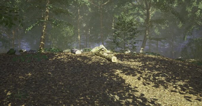 Sunlight breaks through the canopy of trees, illuminating a forest clearing. A fallen log and a circle of stones sit on the forest floor, surrounded by vibrant foliage.