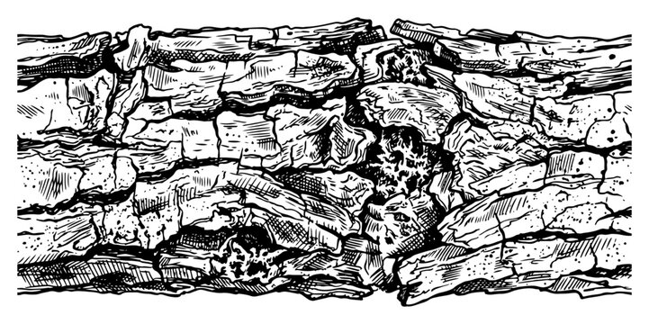 Tree bark texture with rough surface in woodcut engraving style