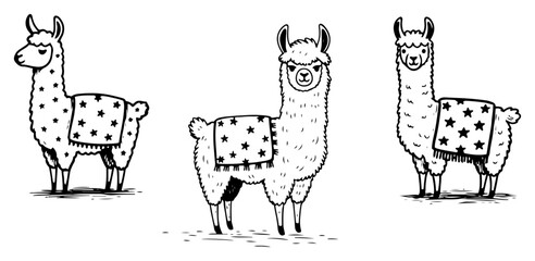 Llama and alpaca characters with patterned blankets line art doodle style © AnimalZOO