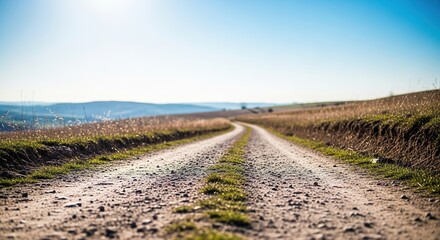 Fototapeta premium A lonely dusty path leads through a scenic landscape with soft light and blurred focus, creating an adventurous atmosphere with a bright look, gravel, light, day
