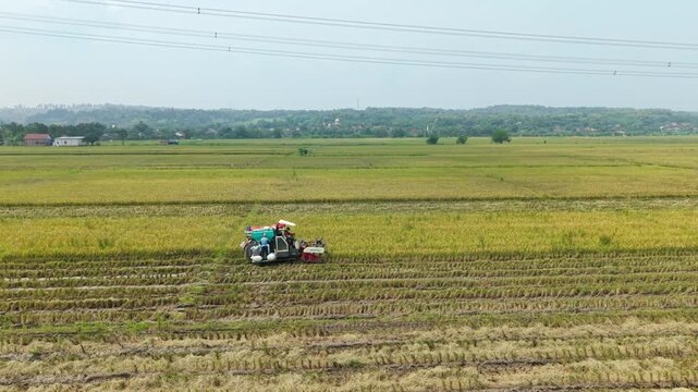 Kendal, Indonesia - 02 April 2026: Aerial view of a small rice harvester moving through golden fields, cutting and threshing rice under a hazy sky.