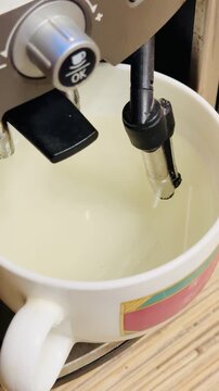 Steam wand rinsing white coffee mug during descaling cycle, hot water and foam flow from stainless nozzle into mug, foamy bubbles.