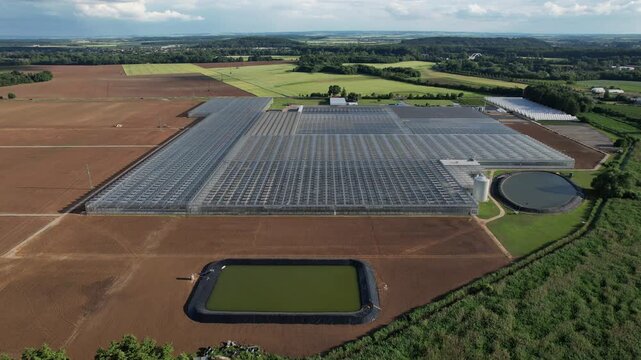 Large modern industrial greenhouses in flat landscape used for fruit and vegetable production captured as aerial panorama agriculture technology