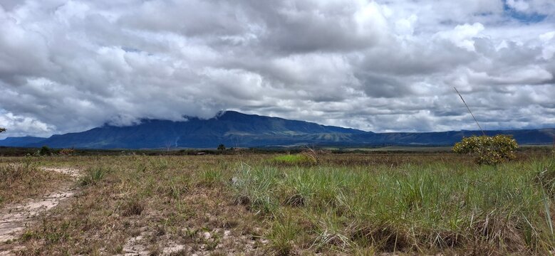 Panoramic view of the Gran Sabana plateau under dramatic sky, Venezuela
