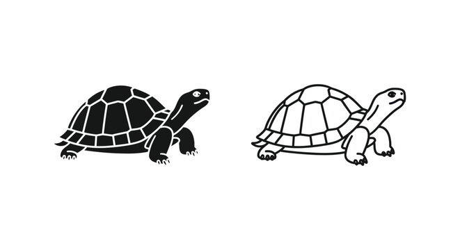 Tortoise vs Turtle Key Differences Illustrated Vector