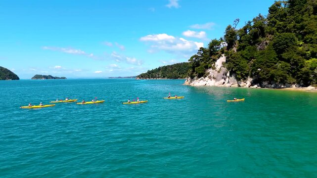 Aerial view of bright yellow kayaks cutting through the turquoise waters near lush green shores, Abel Tasman National Park, Tasman Region, New Zealand.