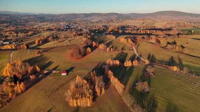 Aerial view of fields, trees and a road contrasting with shadows under a blue sky in the landscape, Detvianska Huta, Banska Bystrica Region, Slovakia.