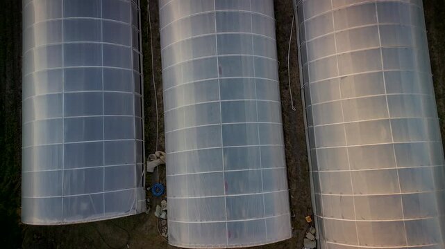 Top down aerial drone footage of agricultural greenhouses and polytunnels, showing rural farming infrastructure, geometric lines and cultivated land in warm natural light.