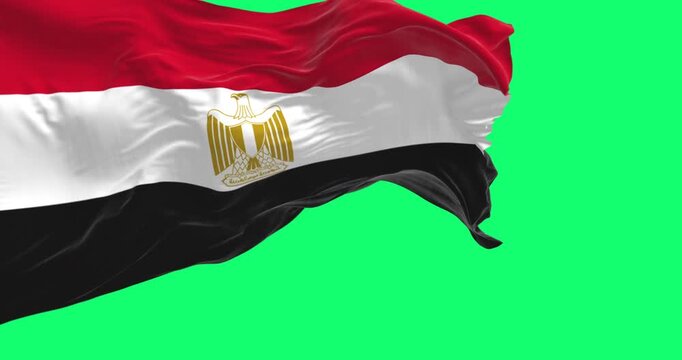 Egypt national flag waving isolated on green background. Seamless 3D render animation. Chroma key. Slow motion loop. Green screen. 4K. Selective focus