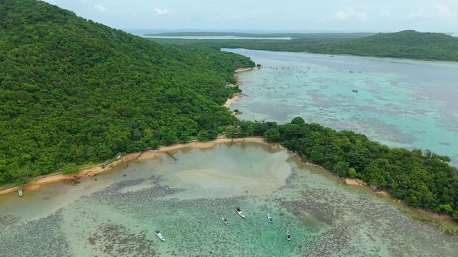 Aerial view of the Annora Beach coastline, where lush green forests meet the turquoise waters of the Java Sea, Karimunjawa, Central Java, Indonesia.