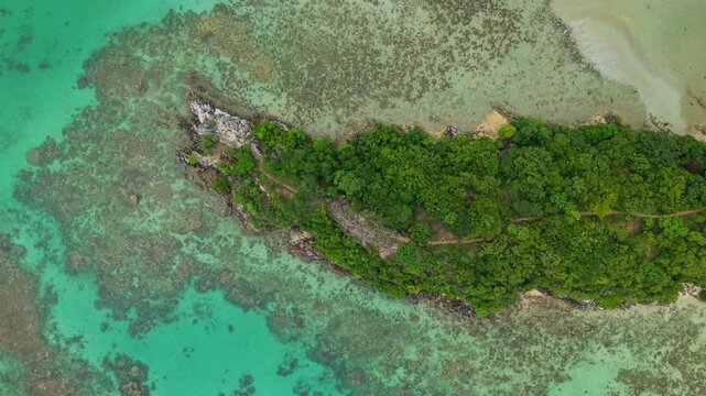 Aerial view of vibrant turquoise waters meeting a lush green coastline at Annora Beach, creating a stunning contrast of colors, Karimunjawa, Central Java, Indonesia.
