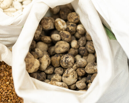 Chuno is simply dehydrated potato in order to extend its useful life. Chuno means wrinkled in the Quechua language.