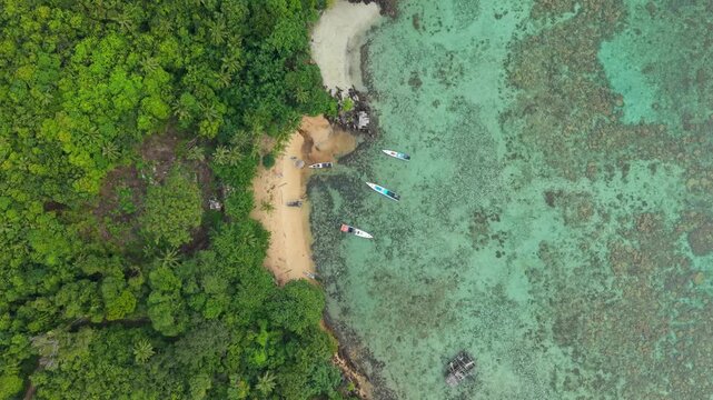 Aerial view of Karina Beach, where turquoise waters meet the shore, contrasting with the lush green forest, Karimunjawa, Central Java, Indonesia.
