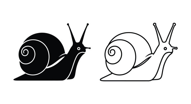 Snail Shells Illustration Black  White Art Design Vector