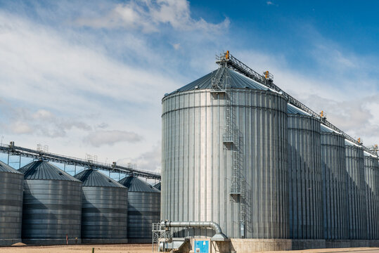 USA, MT, Fairfield.  Many large steel grain storage silos at rail terminal.