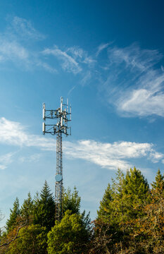 Canada, BC, Vancouver Island.  Cellular network antennae poking above forest canopy.
