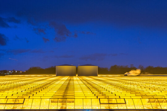 Canada, BC, Delta.  Large agricultural greenhouse with industrial light radiating from the roof at dusk.  Delta is an agricultural town south of Vancouver.