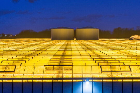 Canada, BC, Delta.  Large agricultural greenhouse with industrial light radiating from the roof at dusk.