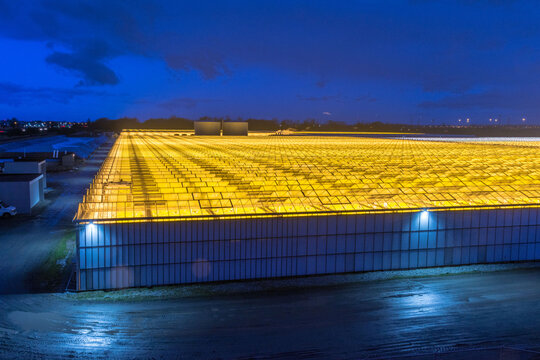 Canada, BC, Delta.  Large agricultural greenhouse with industrial light radiating from the roof at dusk.