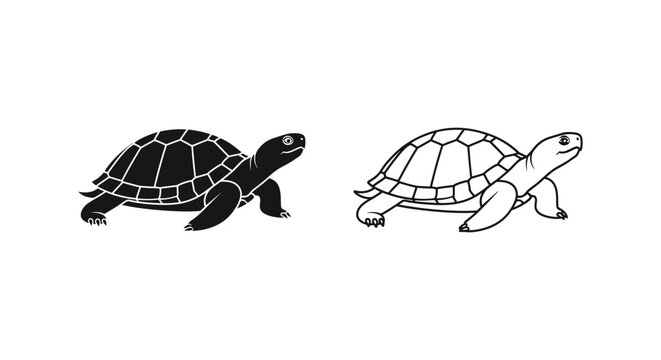 Turtle Shell Designs Unique Tortoise Illustrations Vector