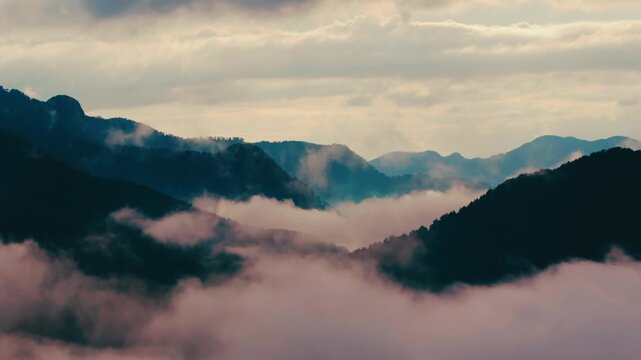 Natureza