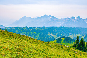 Naklejka premium A telephoto perspective of blue-toned mountain layers and jagged peaks viewed from a high-altitude meadow in the Pacific Northwest