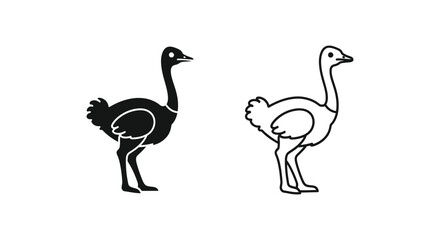 Fototapeta premium Ostrich vs Emu Flightless Bird Comparison Guide Vector