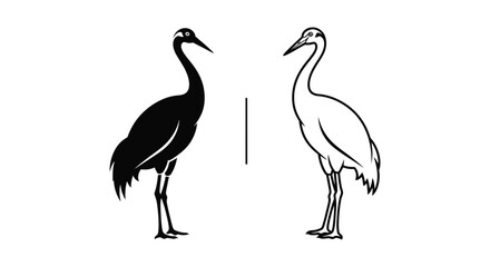 Fototapeta premium Black and White Crane vs Swan Comparison Guide Vector