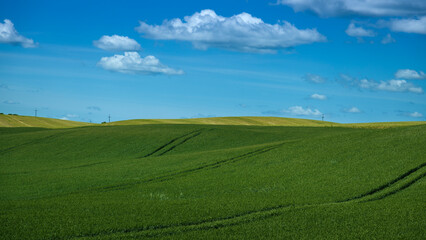 Obraz premium lush green farm fields across a hill terrain with blue sky