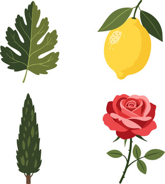 Mediterranean Nature Vector Set with Rose Lemon Fig Leaf and Tree