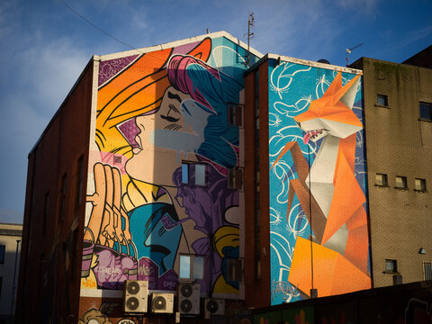 Belfast, Northern Ireland, United Kingdon, 30th October 2025, colour street art fox murals on buildings