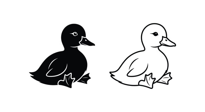 Duck Illustrations Male Female Simple Art Design Vector
