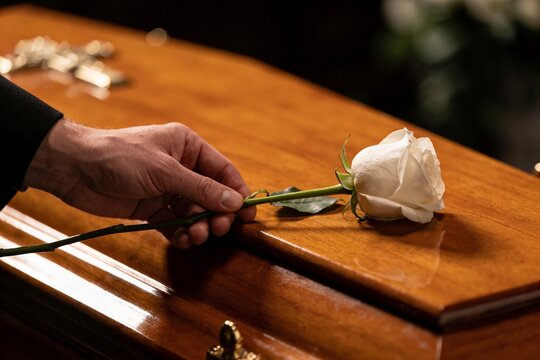 M&atilde;o segurando uma rosa branca sobre um caix&atilde;o de madeira, conceito de funeral, luto e despedida.