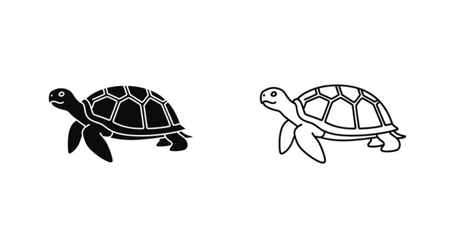 Turtle Graphics Cute Sea  Land Turtle Illustrations Vector