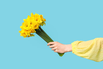 Naklejka premium Female hand with bouquet of beautiful narcissus flowers on blue background