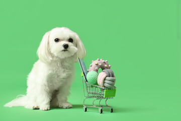 Cute Bolognese dog with shopping cart with toys and credit card on green background © Pixel-Shot