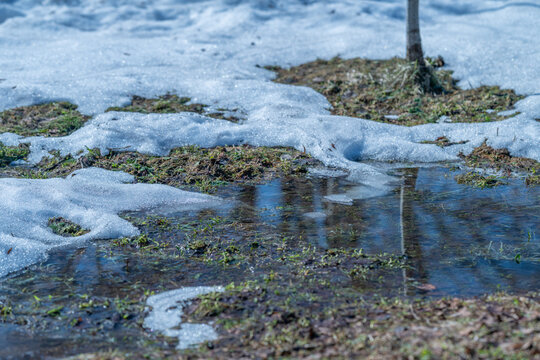 Spring streams carve intricate patterns in soil through melting ice water. Water from melting ice creates delicate pathways that sculpt and reshape terrain uniquely