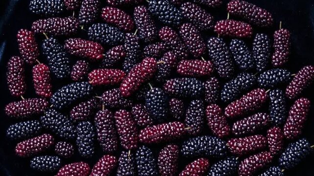 Bird's-eye spinning shot of organic black and purple mulberries with pebbled texture