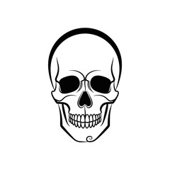 Obraz premium Black and white skull illustration art.