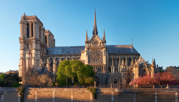Notre-Dame de Paris cathedral bathed in warm spring light on Seine riverbank