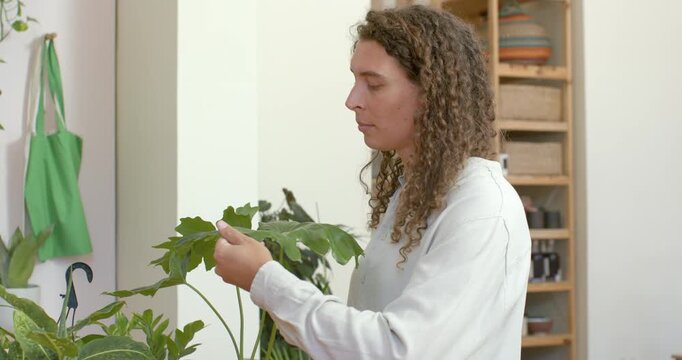 nonbinary African American wearing white top approaching plant at home lifting leaf checking health