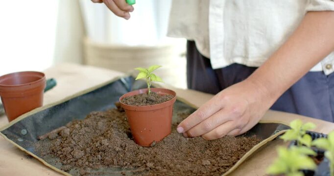 Nonbinary gardener placing pot into soil tray, pressing soil, spraying seedling for growth