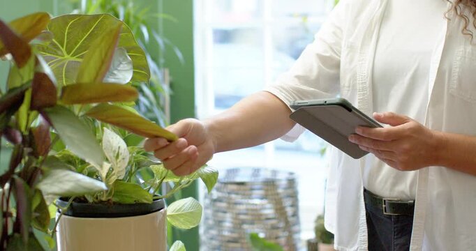 African American nonbinary worker reaching lifting leaf at plant shop recording on tablet