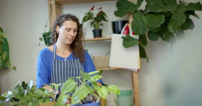 African nonbinary worker in apron holding blue pot checking leaves steadying at worktable for care
