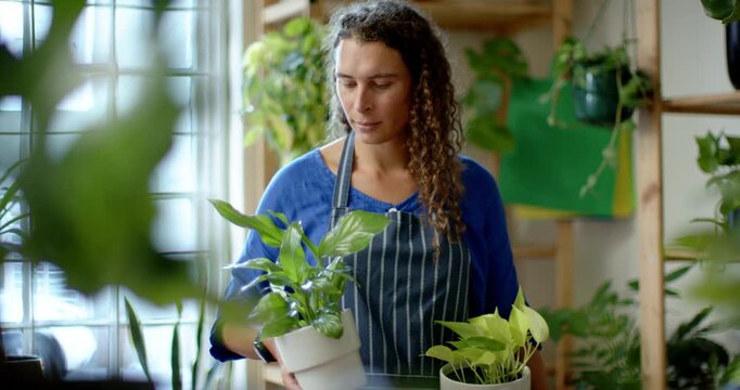 Leaves clearing, nonbinary African American worker in apron lifting pot to window, checking leaves